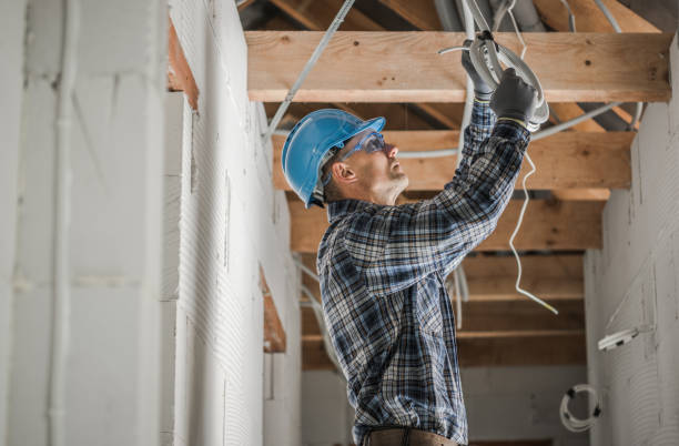 Best Electrical Troubleshooting Services  in North Branch, MI