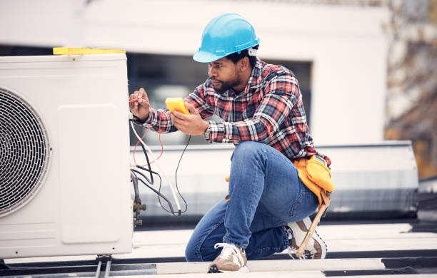 Best Electrician for Home Renovation  in North Branch, MI